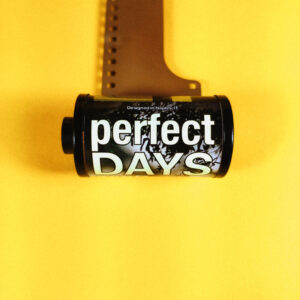 Perfect Days 250 pellicola cinematografica 35mm per fotografia analogica
